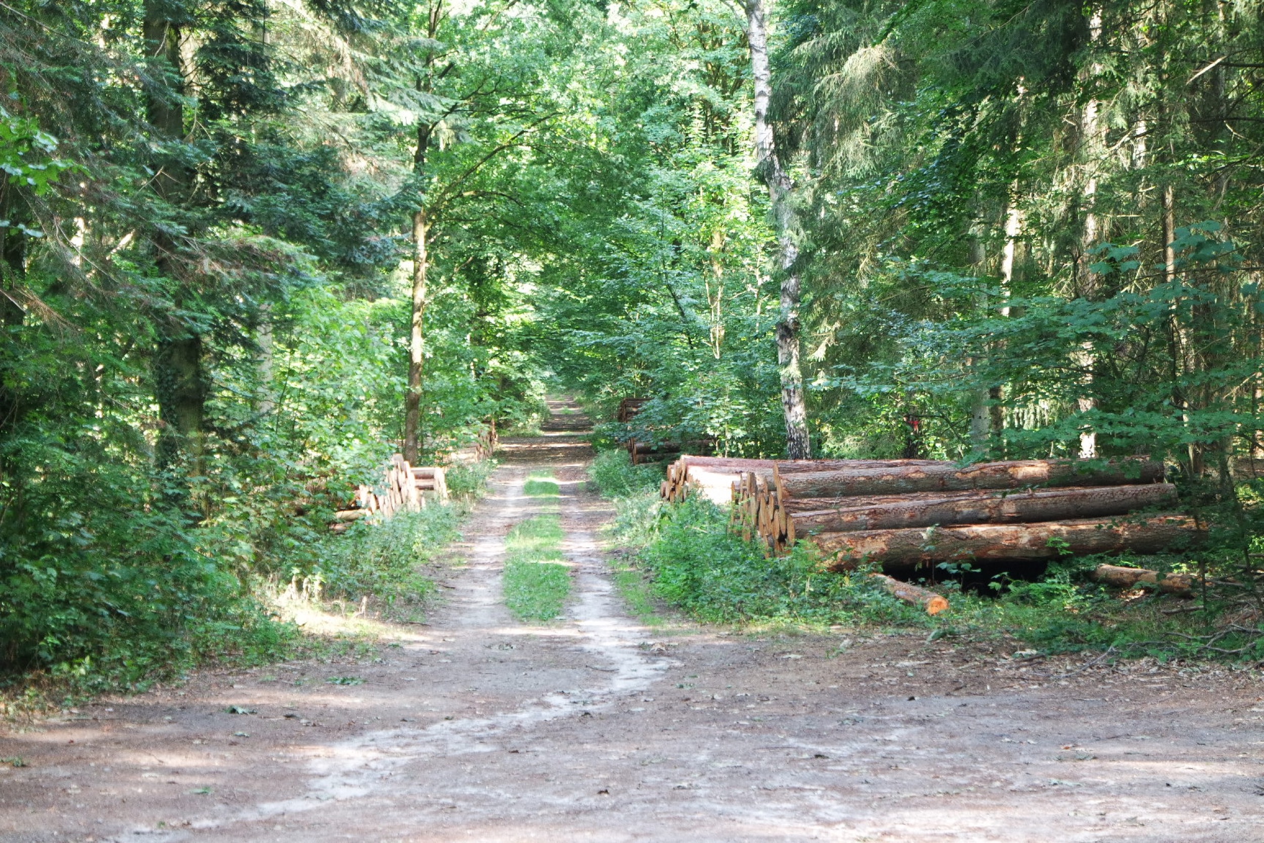 Forstgut Eickhof Forstverwaltung 46