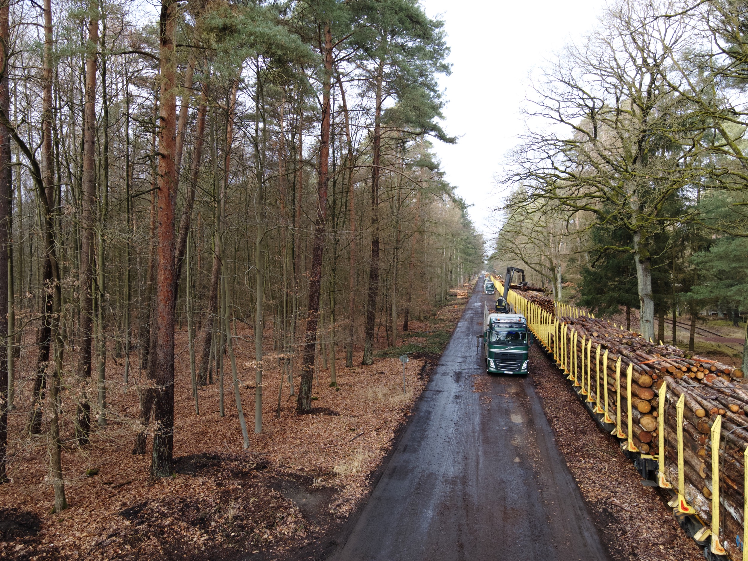 Forstgut Eickhof Verladebahnhof Strasse zur Schiene 1