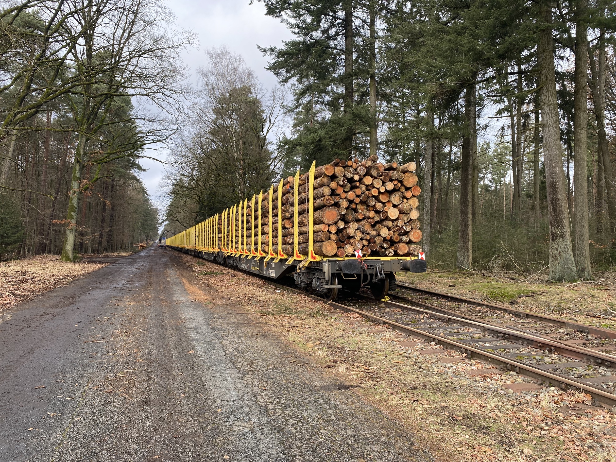 Forstgut Eickhof Verladebahnhof Strasse zur Schiene 11