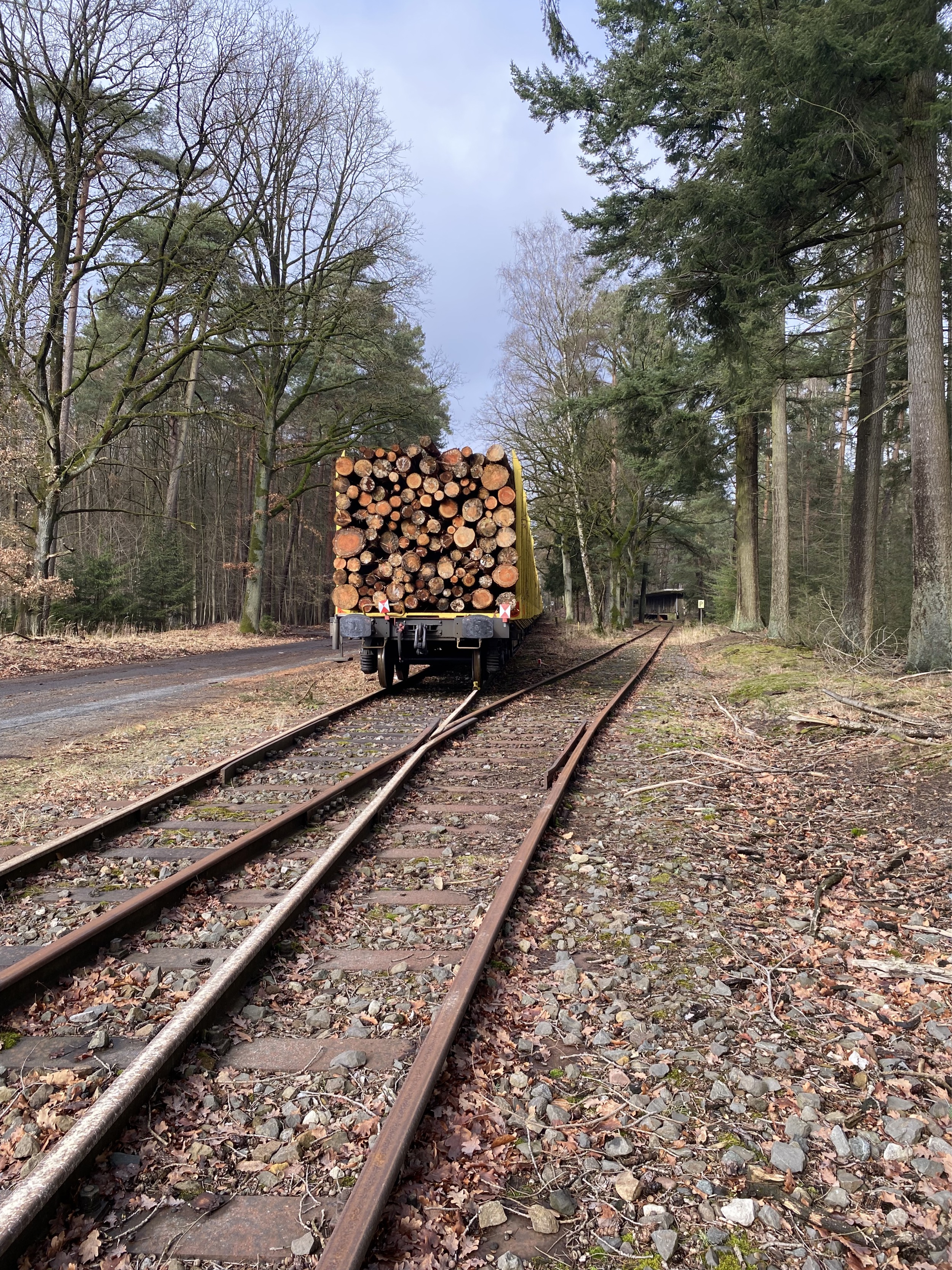 Forstgut-Eickhof-Verladebahnhof-Strasse-zur-Schiene-13