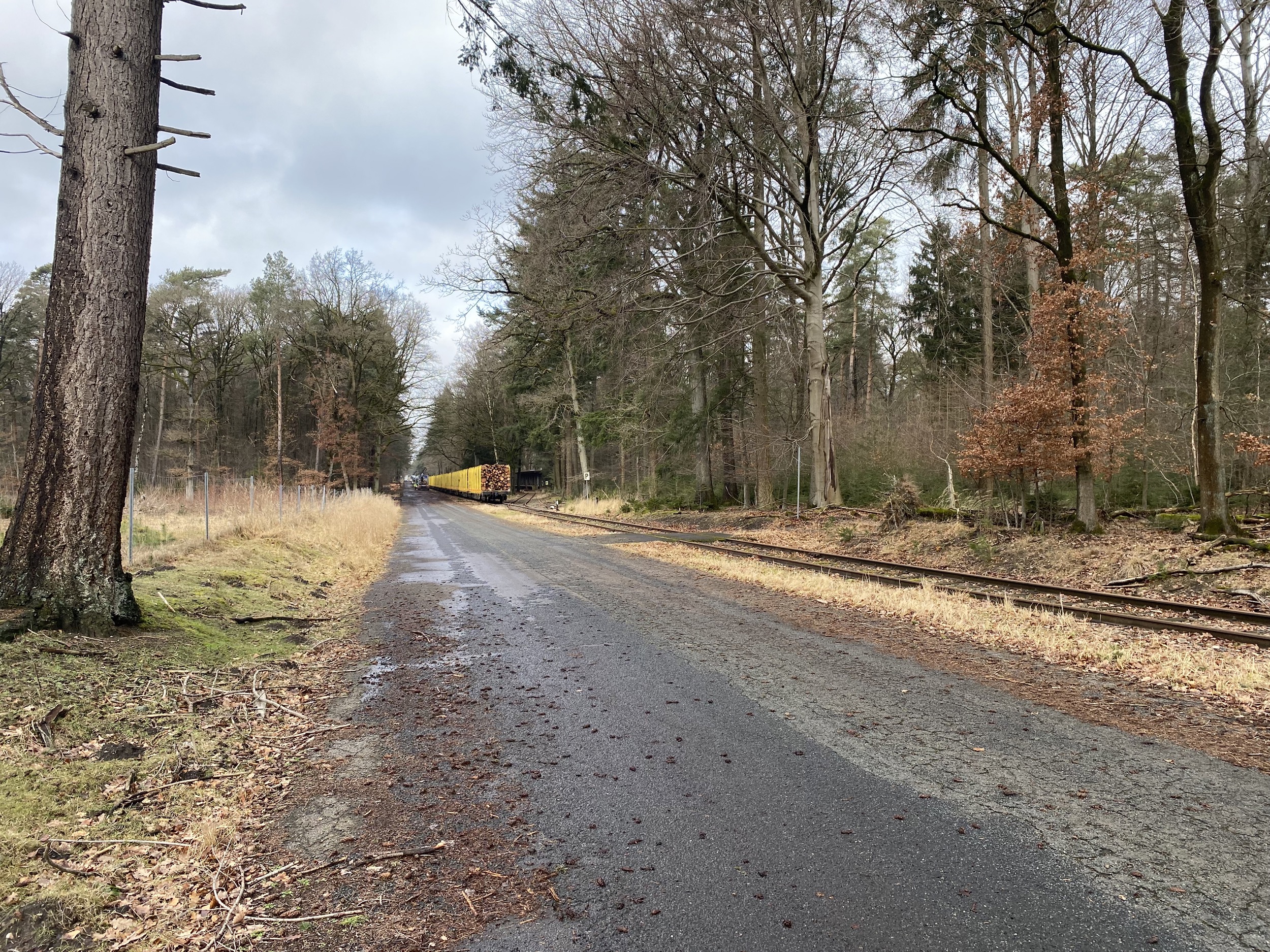 Forstgut Eickhof Verladebahnhof Strasse zur Schiene 7