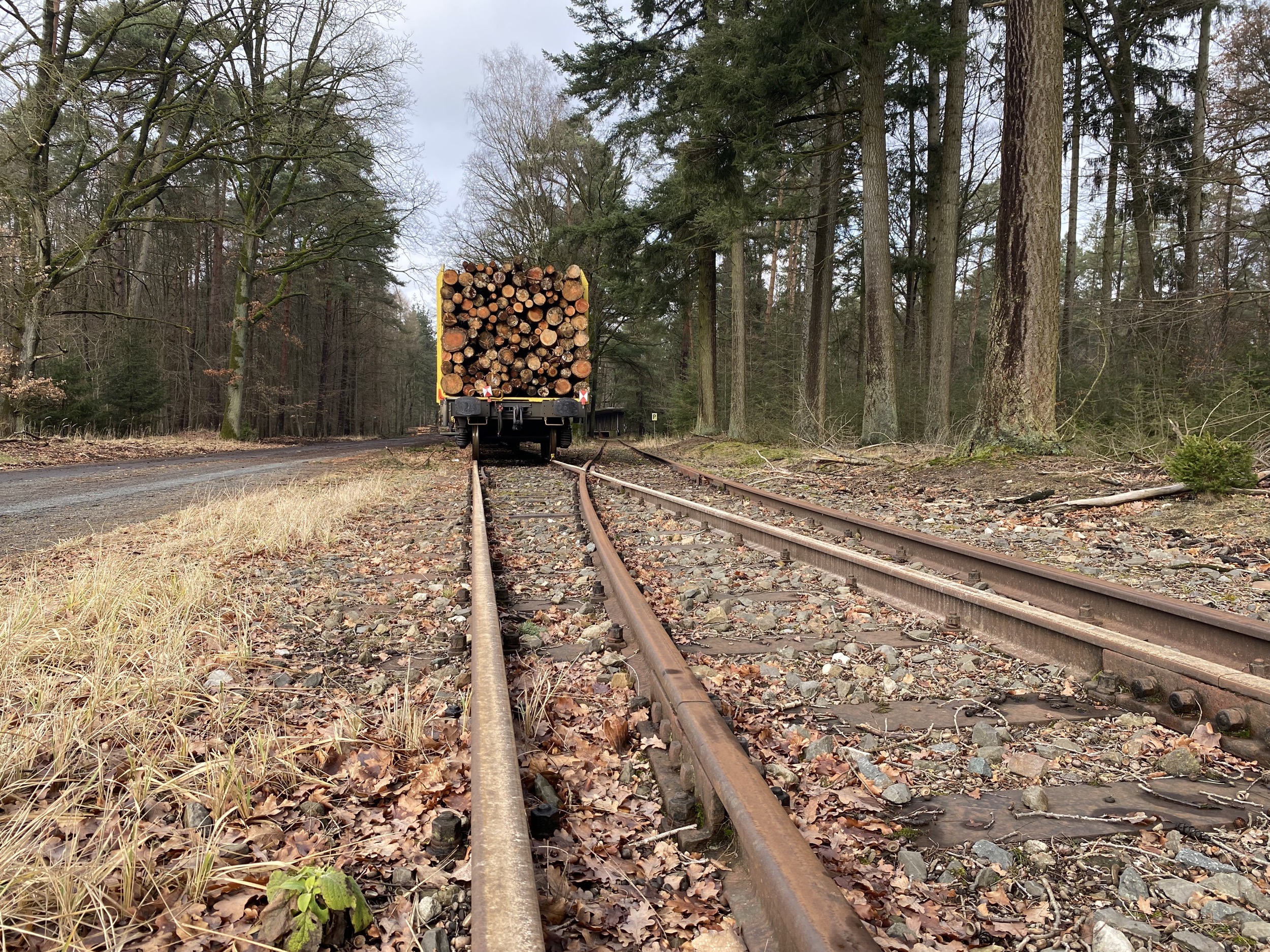 Forstgut Eickhof Verladebahnhof Strasse zur Schiene 8