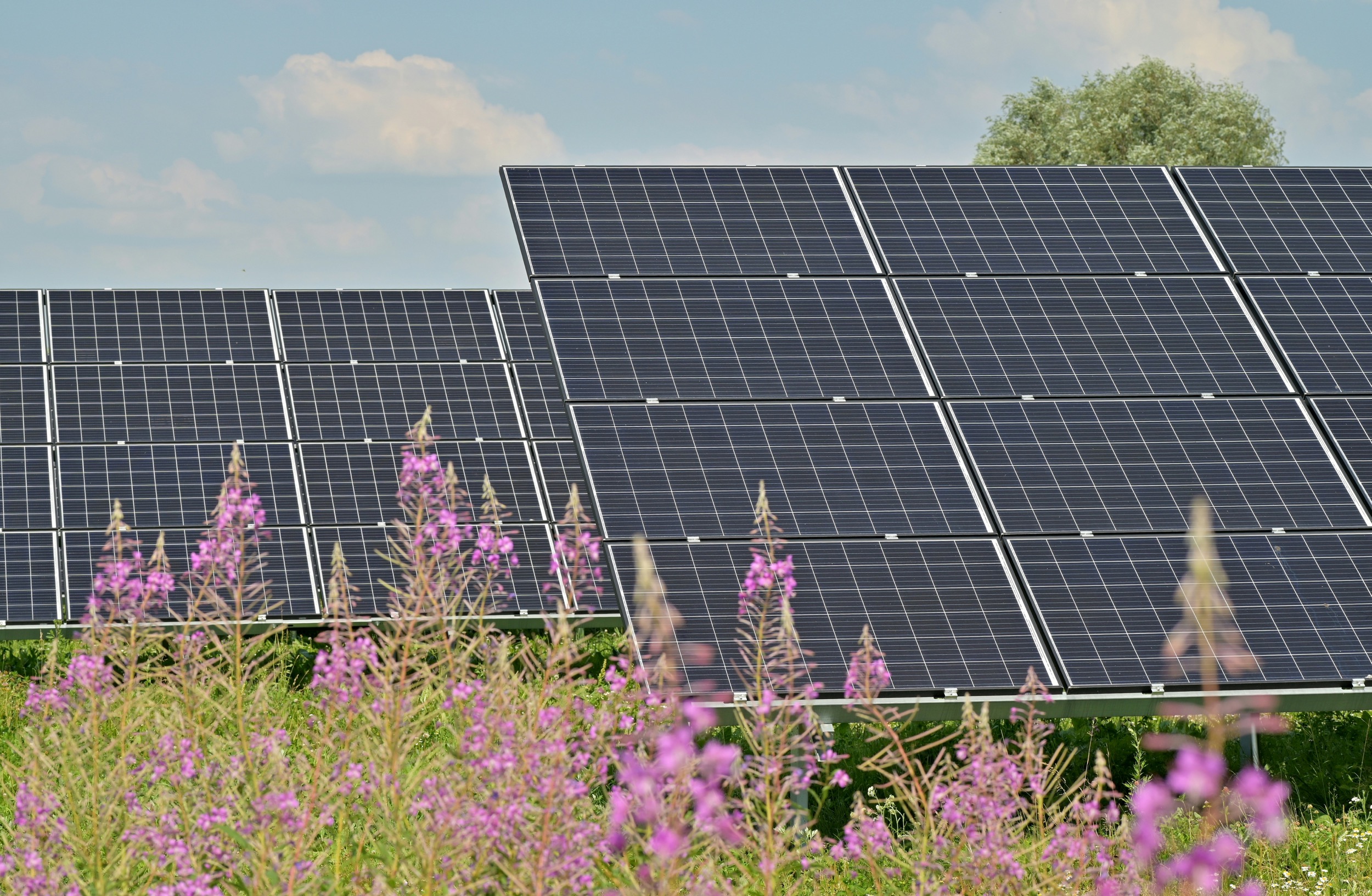 solarfeld clausthal zellerfeld